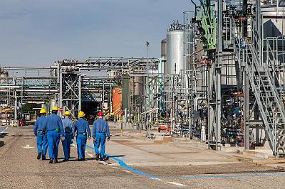 Basf_MG_3104