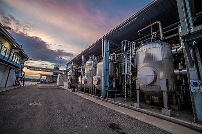 Basf_MG_3150